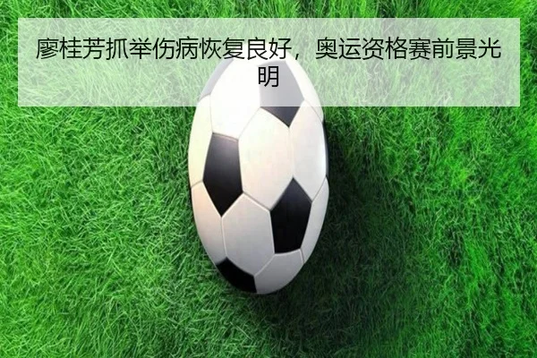 廖桂芳抓举伤病恢复良好，奥运资格赛前景光明